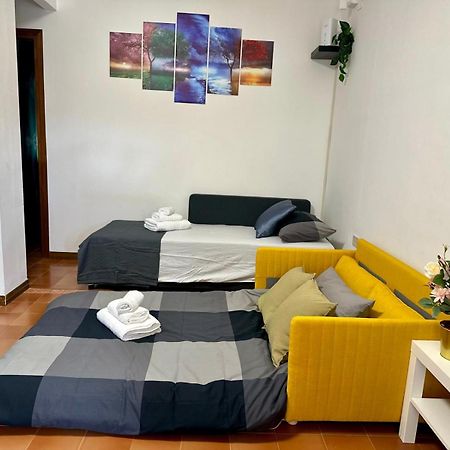 Appartamento La Casa Nostra 피사 외부 사진
